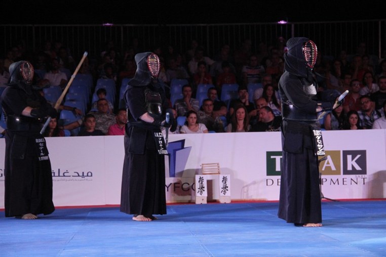 Martial Arts Festival